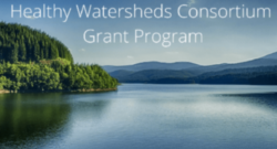 Healthy Watersheds Consortium Grant Program image